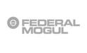 FEDERAL MOGUL